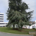 Rénovation et restructuration de la Maison de la Formation